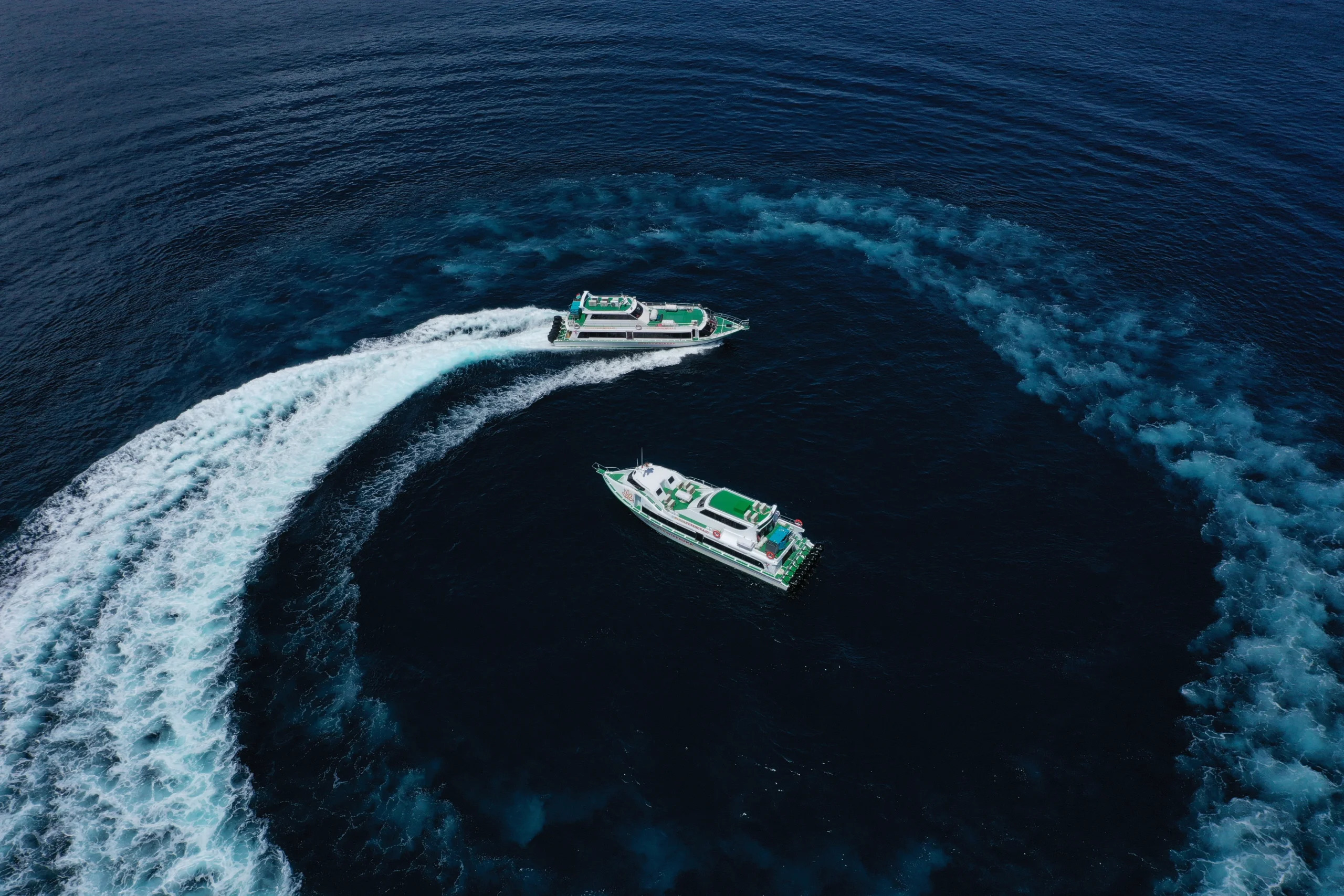 Wahana Virendra fast boat