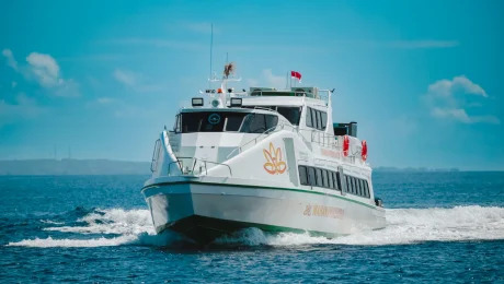 Wahana Virendra fast boat
